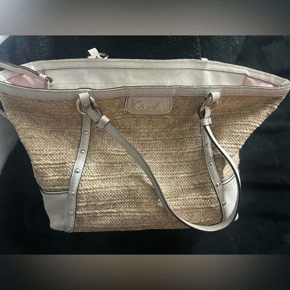 Coach Alexandra Python Straw Tote - Picture 8 of 13